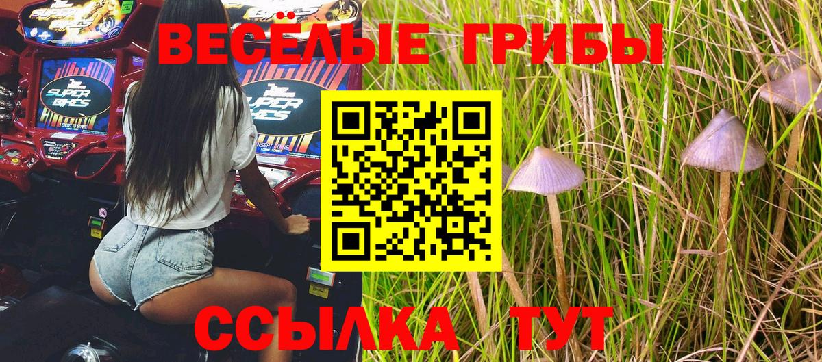 Галлюциногенные грибы прущие грибы Горно-Алтайск